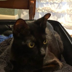 Meet your Posher, Melissa